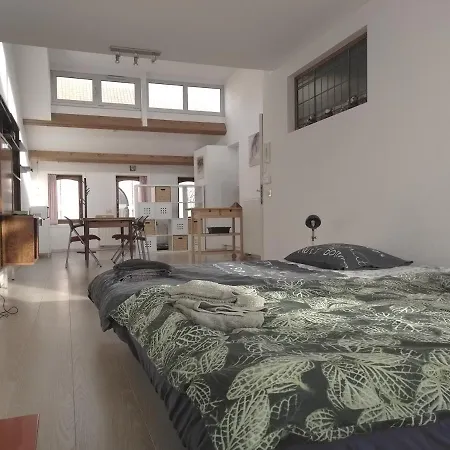 Sfeervol Rustige Loft Апартаменты *